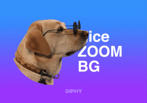 giphy 2